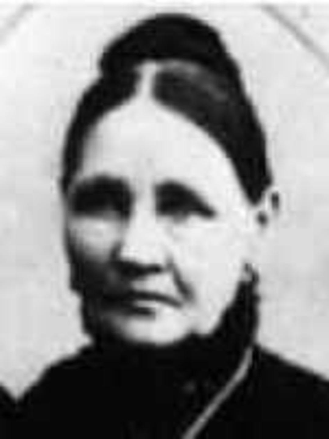 Almira Bangs Wright (1811 - 1858) Profile